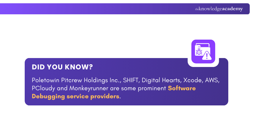 Software Debugging Service Providers Software Debugging Service Providers