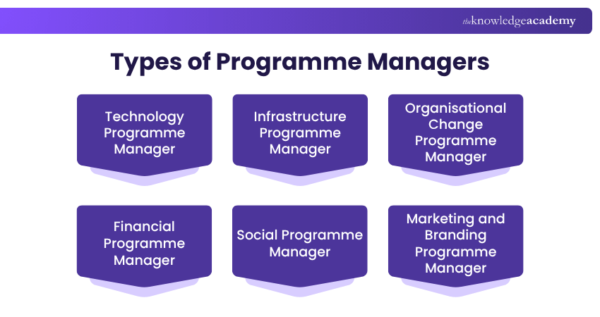Types of Programme Managers Types of Programme Managers