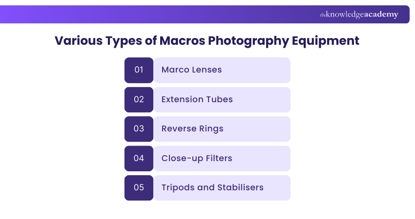 Various Types of Macros Photography Equipment