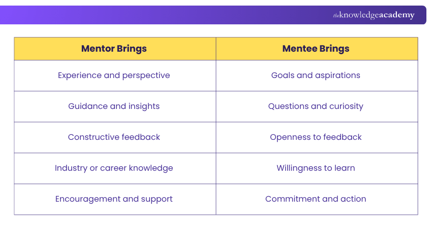 What Mentor and Mentee Bring in Mentoring? Mentoring Relationship Map