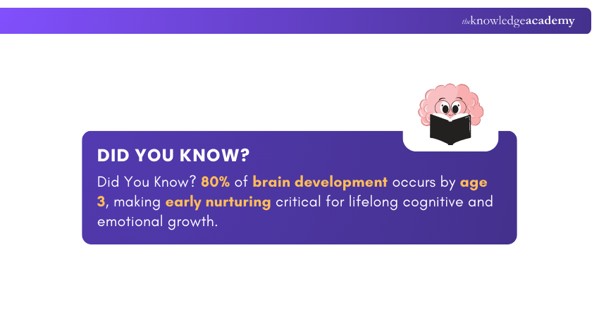 Brain development