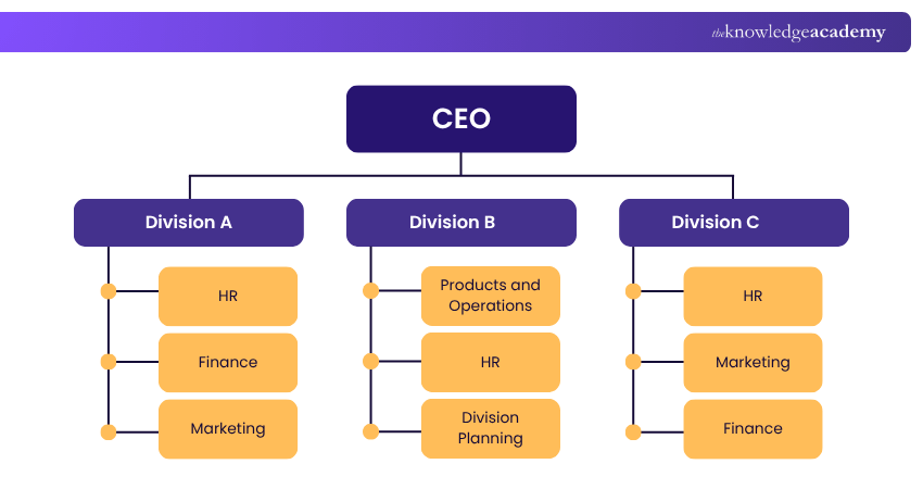 Divisional Organisational Structure Example Divisional Structure of the CEO