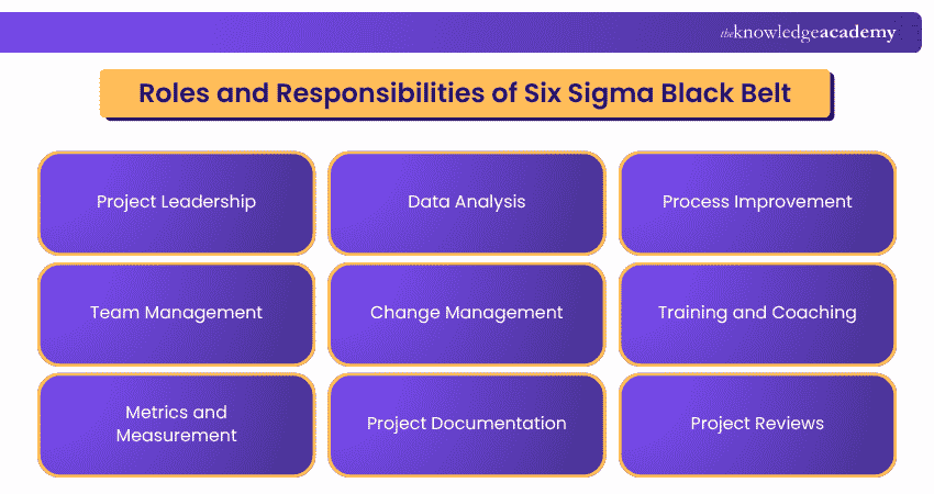 =” Roles and Responsibilities of Six Sigma Black Belt