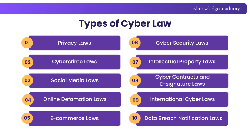 Types of Cyber Law