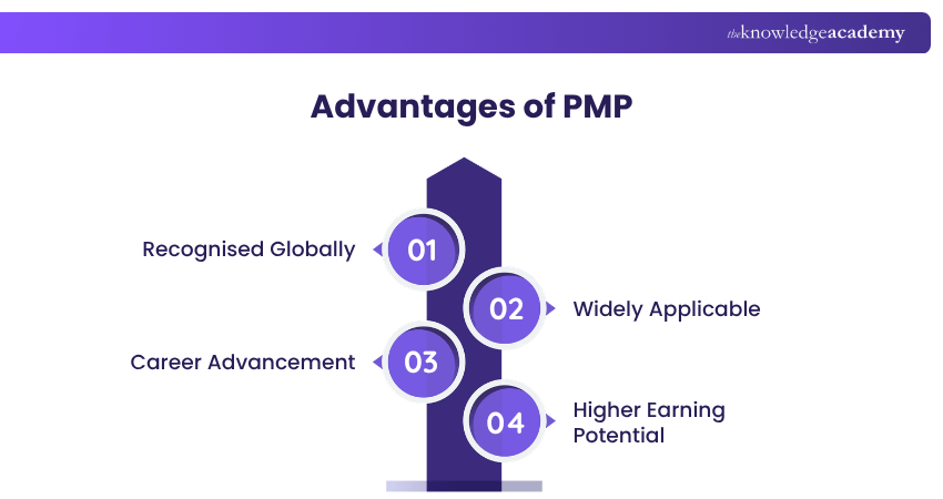 PMI ACP vs PMP’s advantages