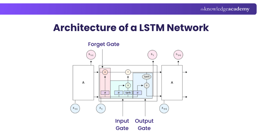 Long Short-Term Memory Networks (LSTMs)