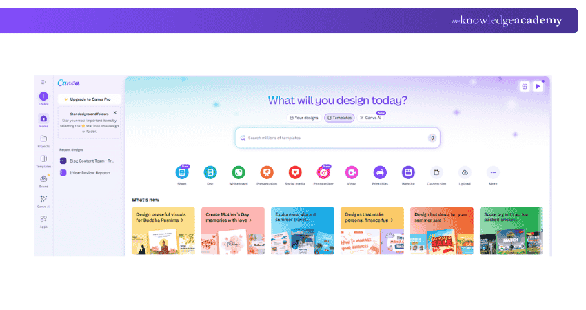 Canva Social Media Graphics Canva Social Media Graphics