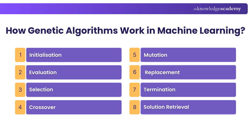 How do Genetic Algorithms in Machine Learning work How do Genetic Algorithms in Machine Learning work