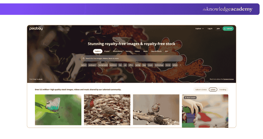 Dashboard of Pixabay Dashboard of Pixabay
