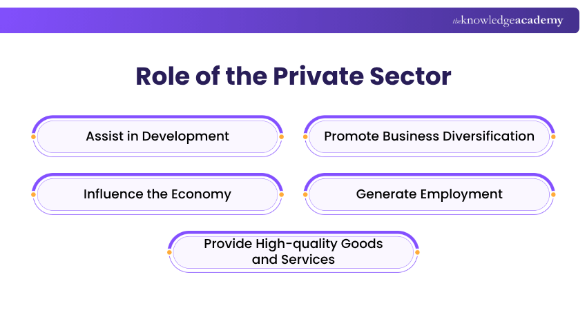 Role of the Private Sector Private Sector Role