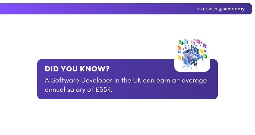 Software Developer