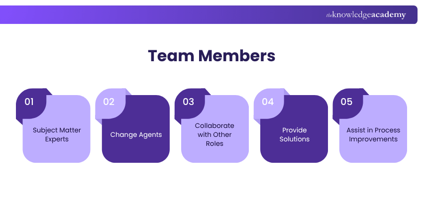 Team Members in Six Sigma Healthcare Team Members in Six Sigma Healthcare