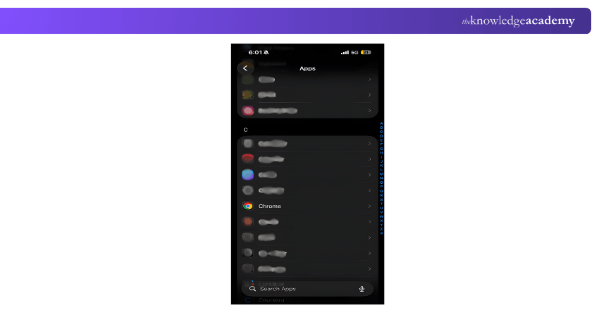 iOS Chrome App Setting
