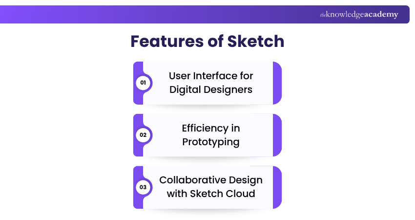 What are the Features of Sketch?