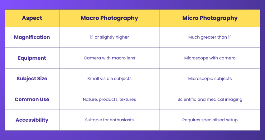 Difference Between Macro and Micro Photography