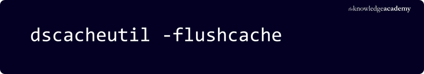 dscacheutil flushcache dscacheutil flushcache