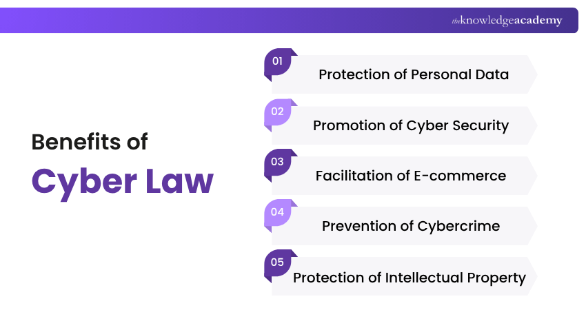 Benefits of Cyber Law
