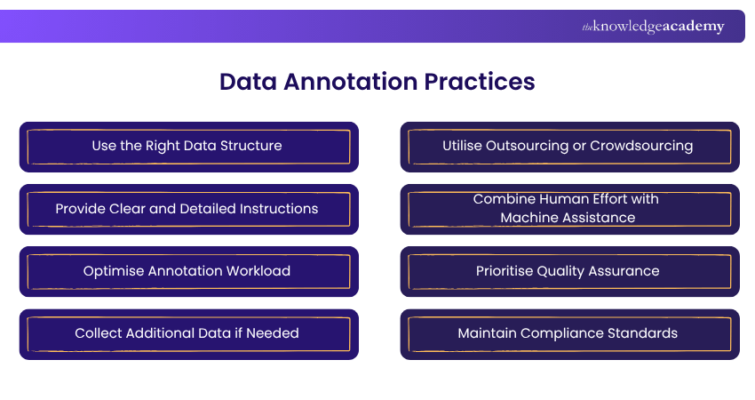 Data Annotation Practices