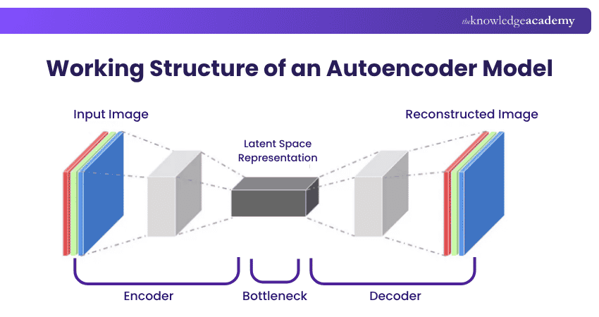 Autoencoder