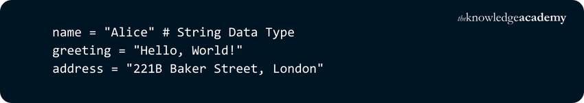 Common Data Types Across Popular Programming Languages