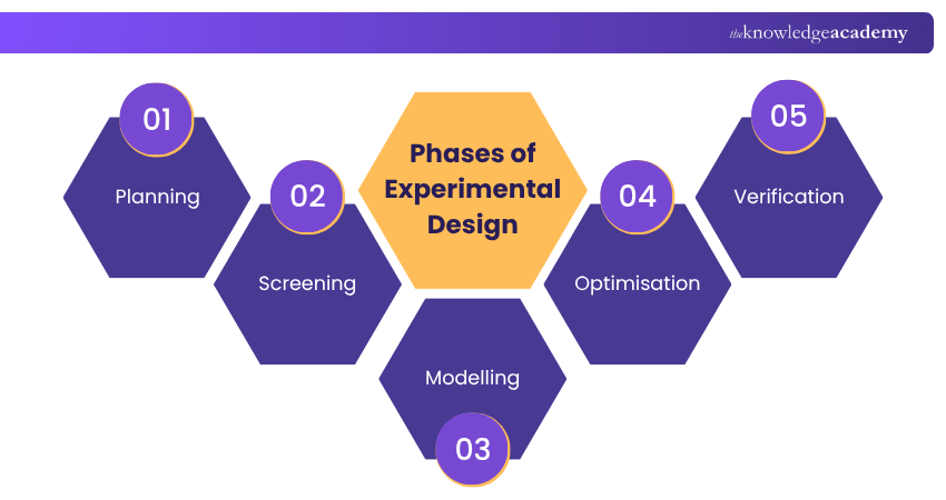 Phases of Experimental Design Phases of Experimental Design