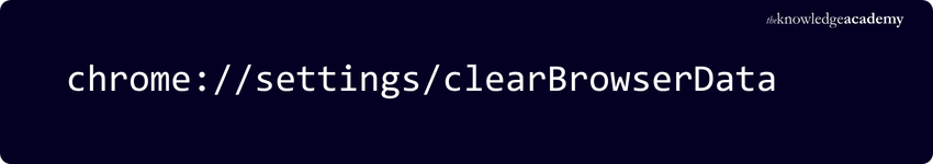 chrome settings clear Browser Data chrome settings clear Browser Data