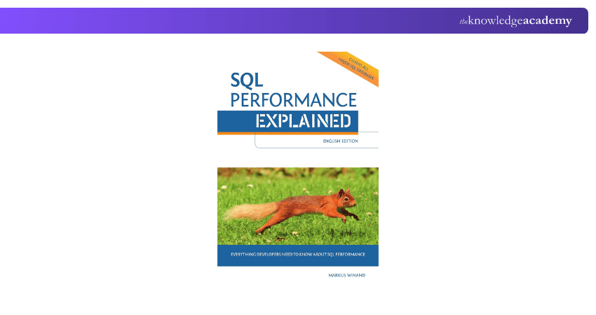 SQL Performance Explained