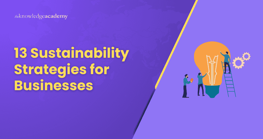 13 Sustainability Strategies for Businesses