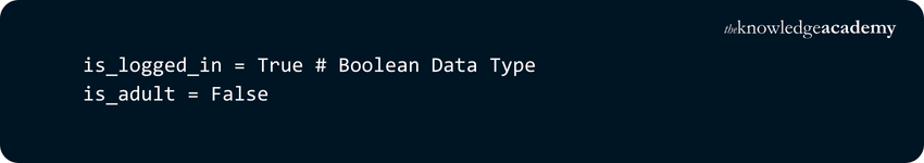 Common Data Types Across Popular Programming Languages