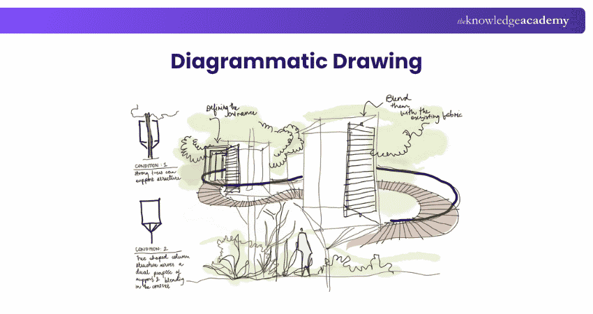 Diagrammatic Drawing Diagrammatic Drawing