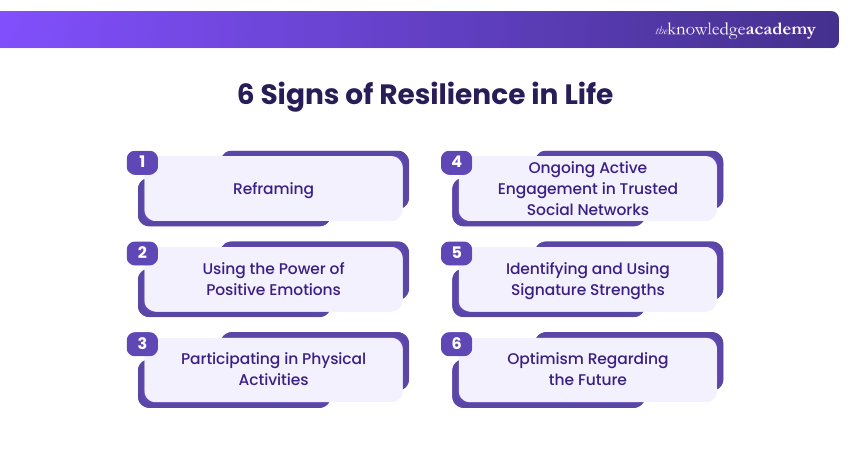 6 Signs of Resilience in Life