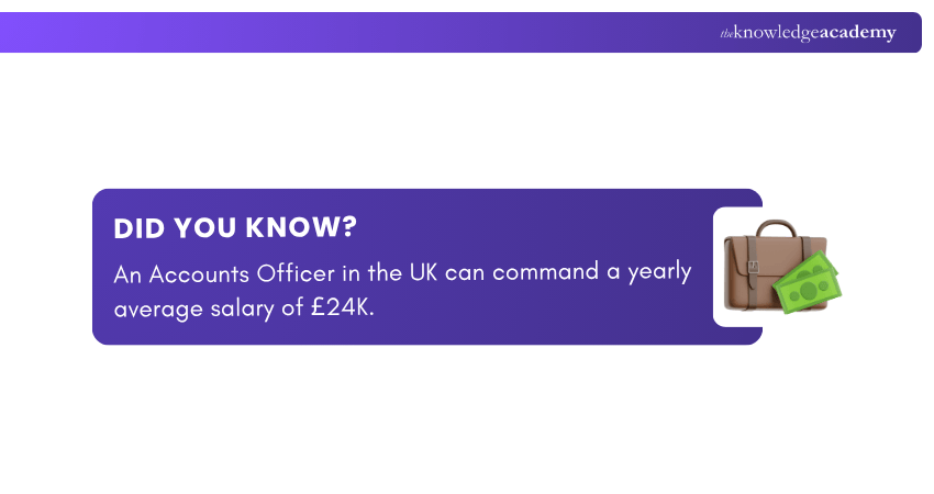 Accounts Officer Snippet Accounts Officer