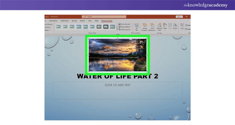 Add Image in Slide