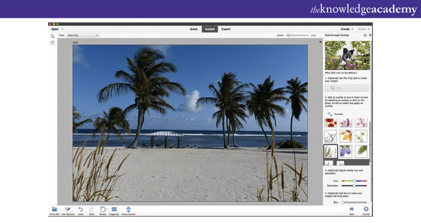 Adobe Photoshop Elements Adobe Photoshop Elements
