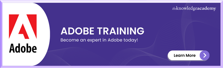 Adobe Training