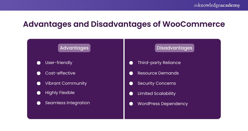 Advantages and Disadvantages of WooCommerce
