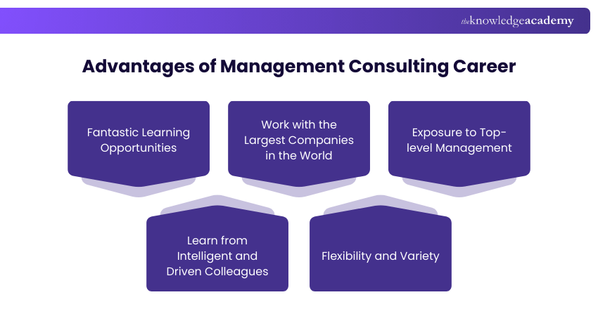 Advantages of Management Consulting Career Advantages of Management Consulting Career