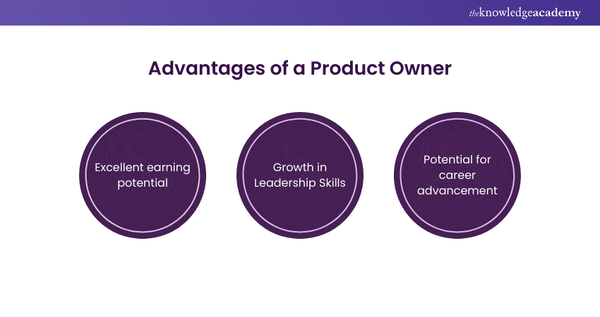 Advantages of a Product Owner 