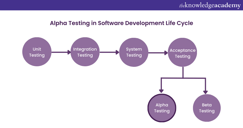 Alpha Testing in SDLC
