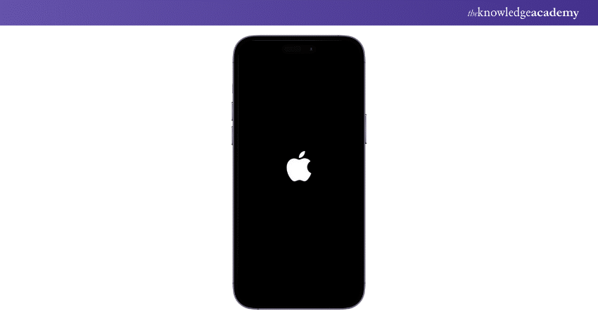 Apple logo display when starting