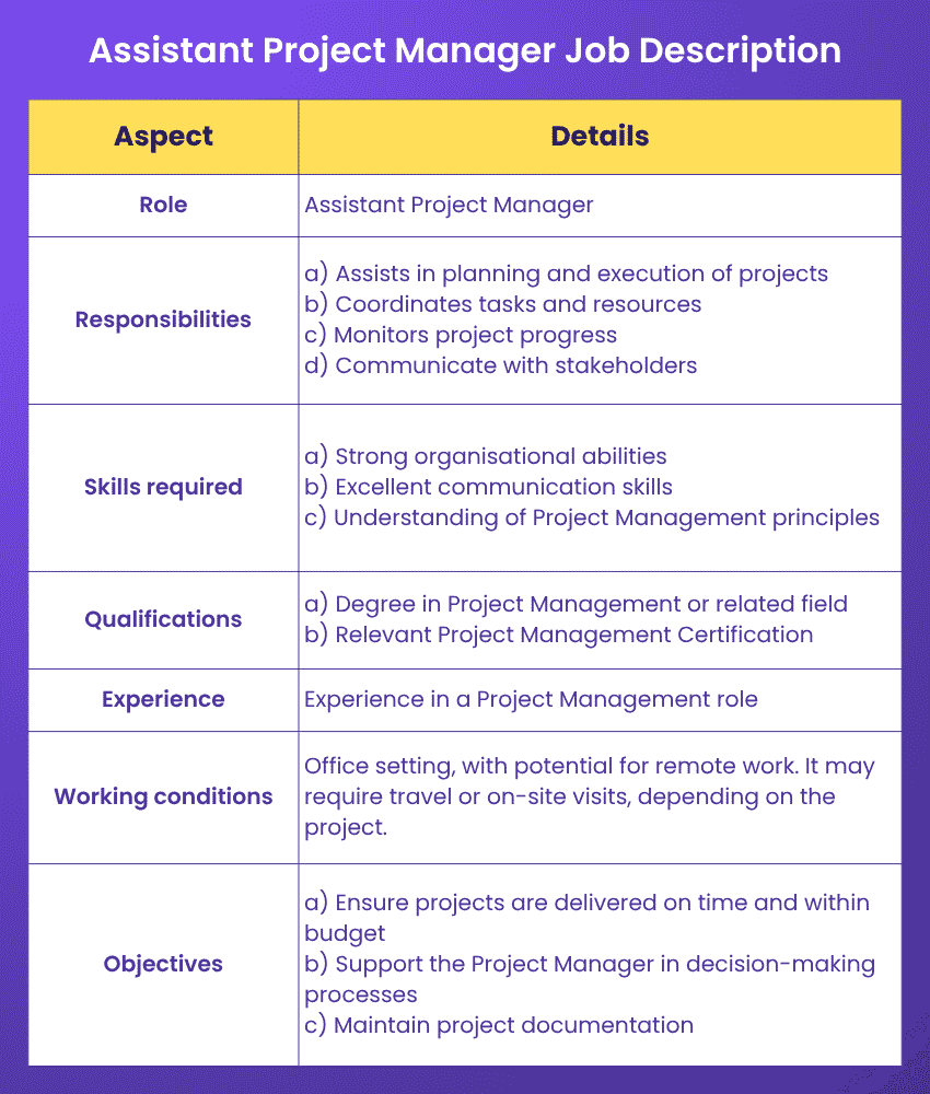 Assistant Project Manager Job Description
