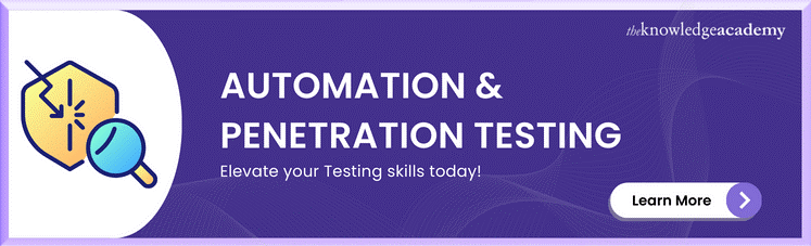 Automation & Penetration Testing