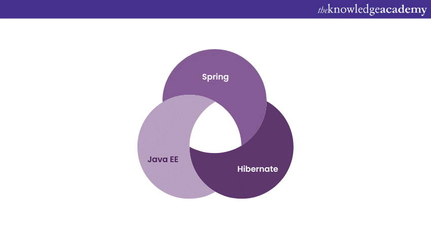 Different Types of Java Developer: Roles and Specializations