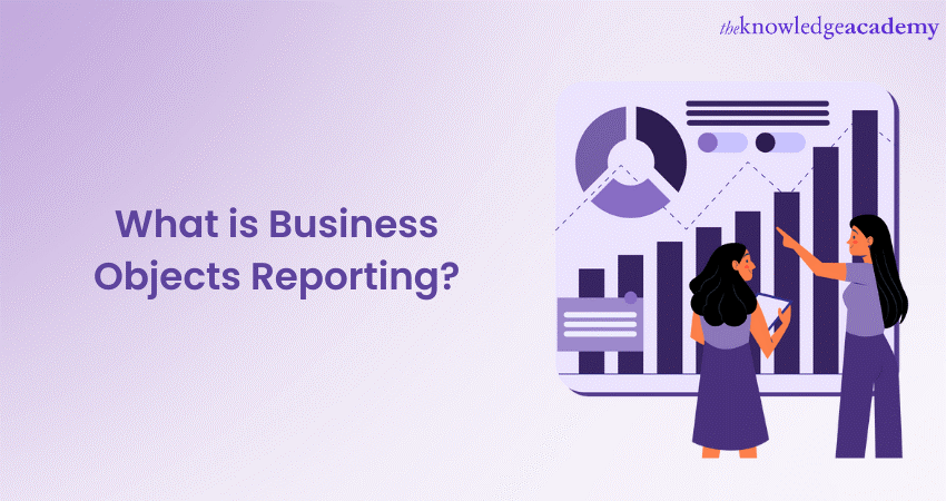 What is Business Objects Reporting