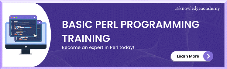 Basic Perl Programming Training