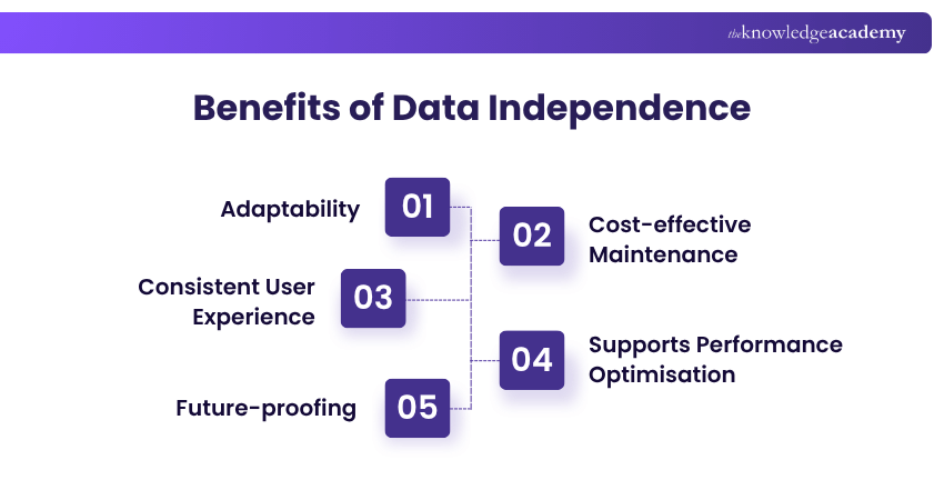 Benefits of Data Independence Benefits of Data Independence Explained