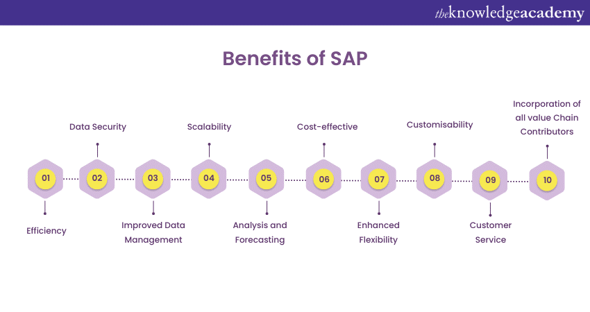 Benefits of SAP