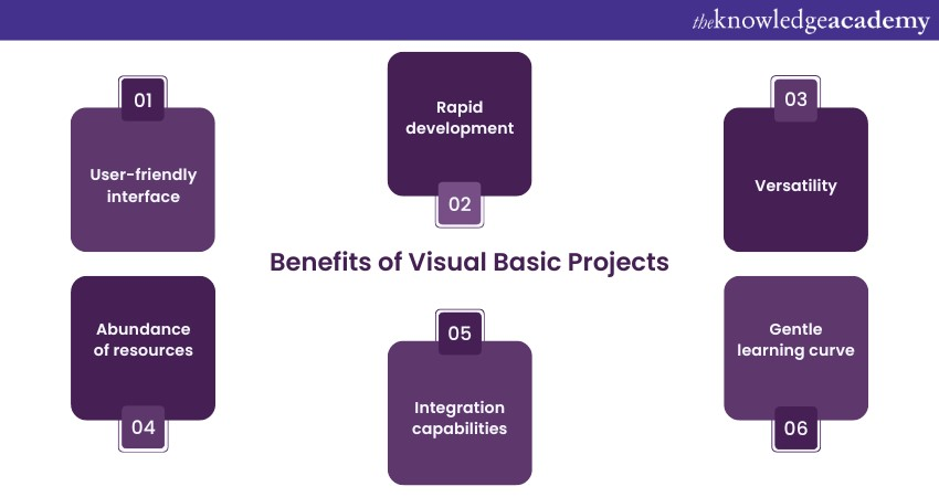 Benefits of Visual Basic Projects