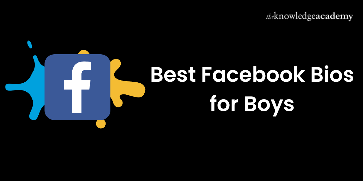 Best Facebook Bios for Boys