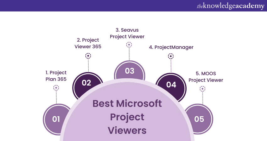 Best Microsoft Project Viewers